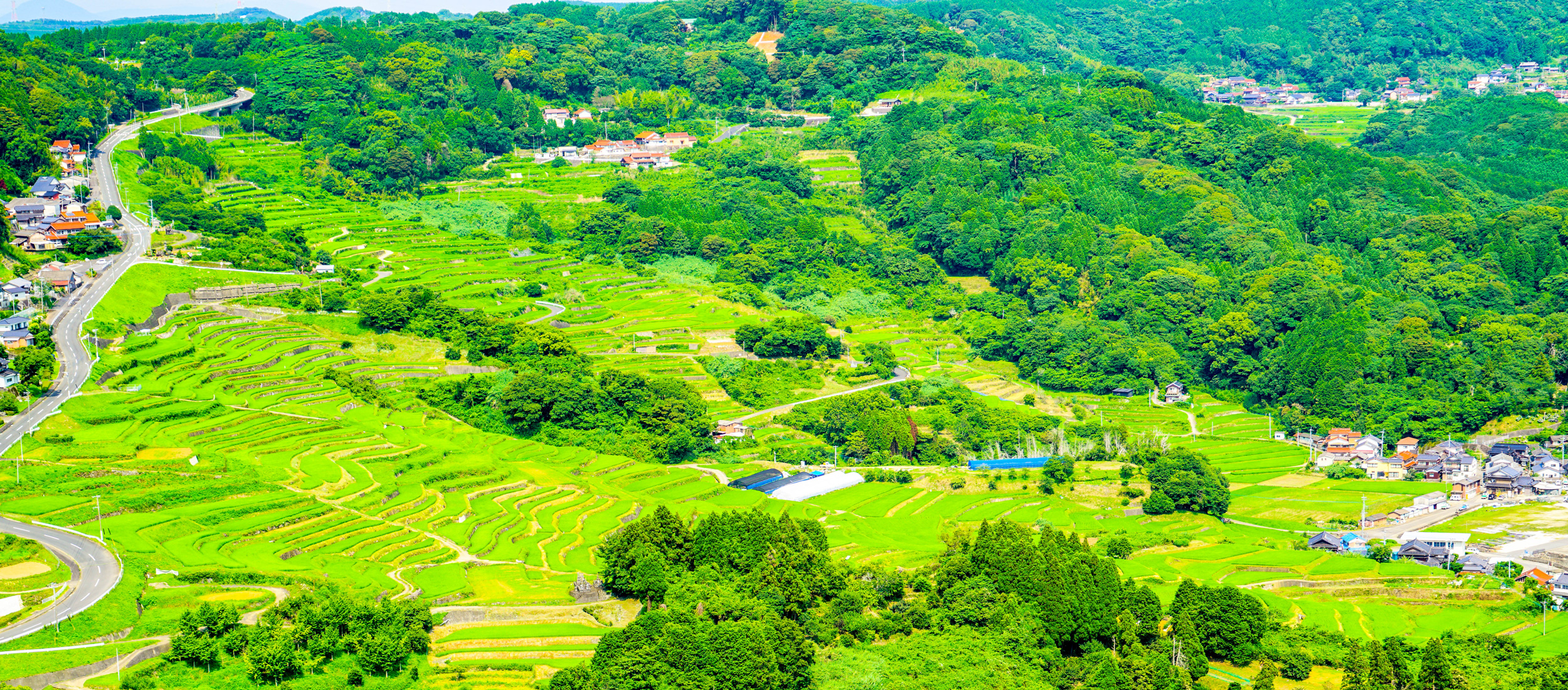 里山の風景